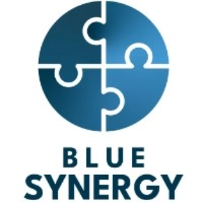 newwave-project-logo-blue-synergy